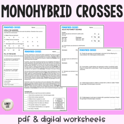 Practice with monohybrid punnett squares worksheet answer key